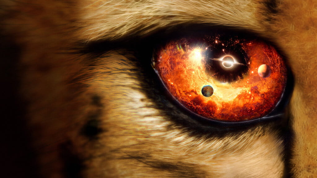 دانلود سریال مستند Our Universe