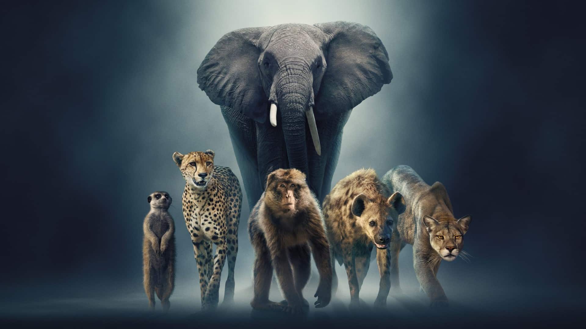 دانلود مستند سریالی Dynasties II