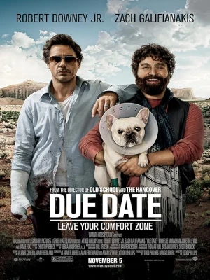 دانلود فیلم Due Date