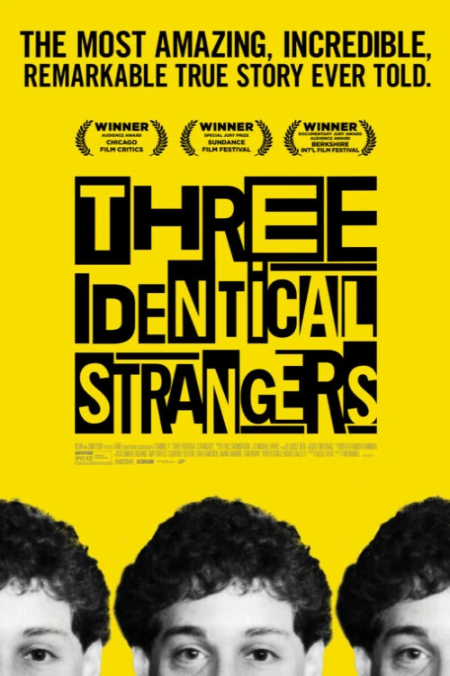 دانلود فیلم Three Identical Strangers