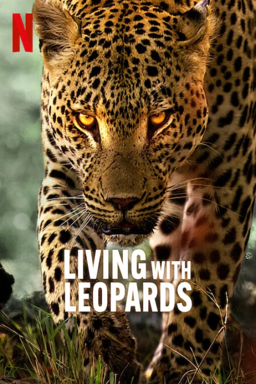 دانلود فیلم Living with Leopards