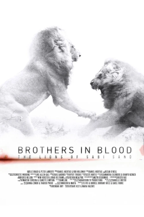 دانلود فیلم Brothers in Blood: The Lions of Sabi Sand